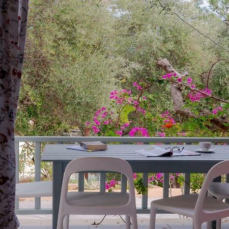 Mihaila Bungalows Spartia (Kefalonia) Exterior foto
